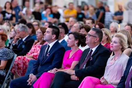 Dan drzˇavnosti, SIDDHARTA-4